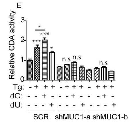 CDA activity, relative to SCR, is represented by the bar charts.jpg